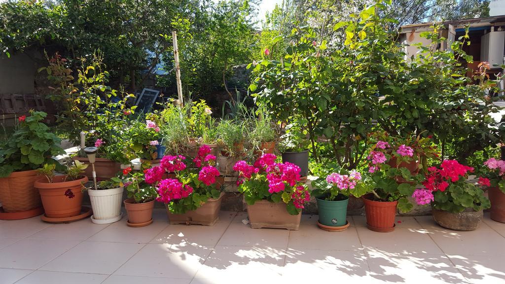 Elit Konukevi Appartement Bozcaada Island Buitenkant foto