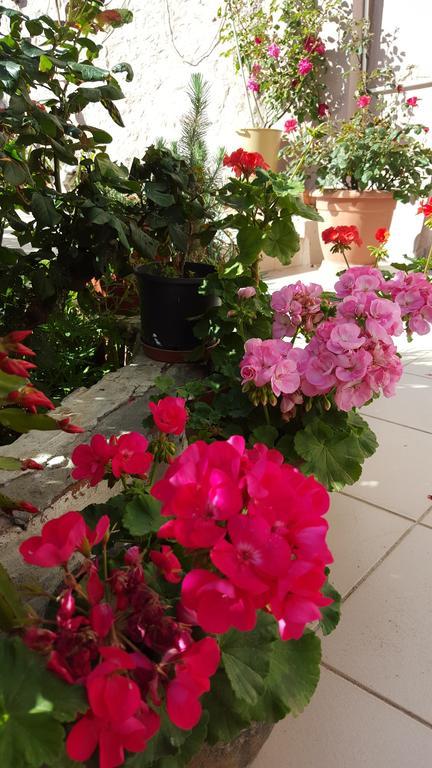 Elit Konukevi Appartement Bozcaada Island Buitenkant foto
